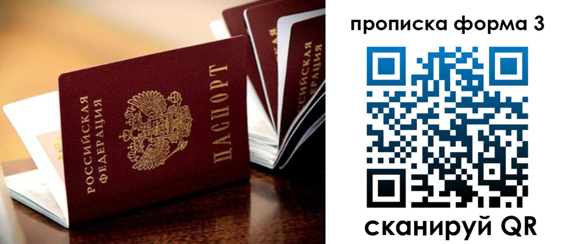 временная регистрация надежно в Стародубе